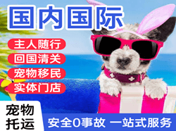 大庆萨尔图航空物流国际宠物托运 【国